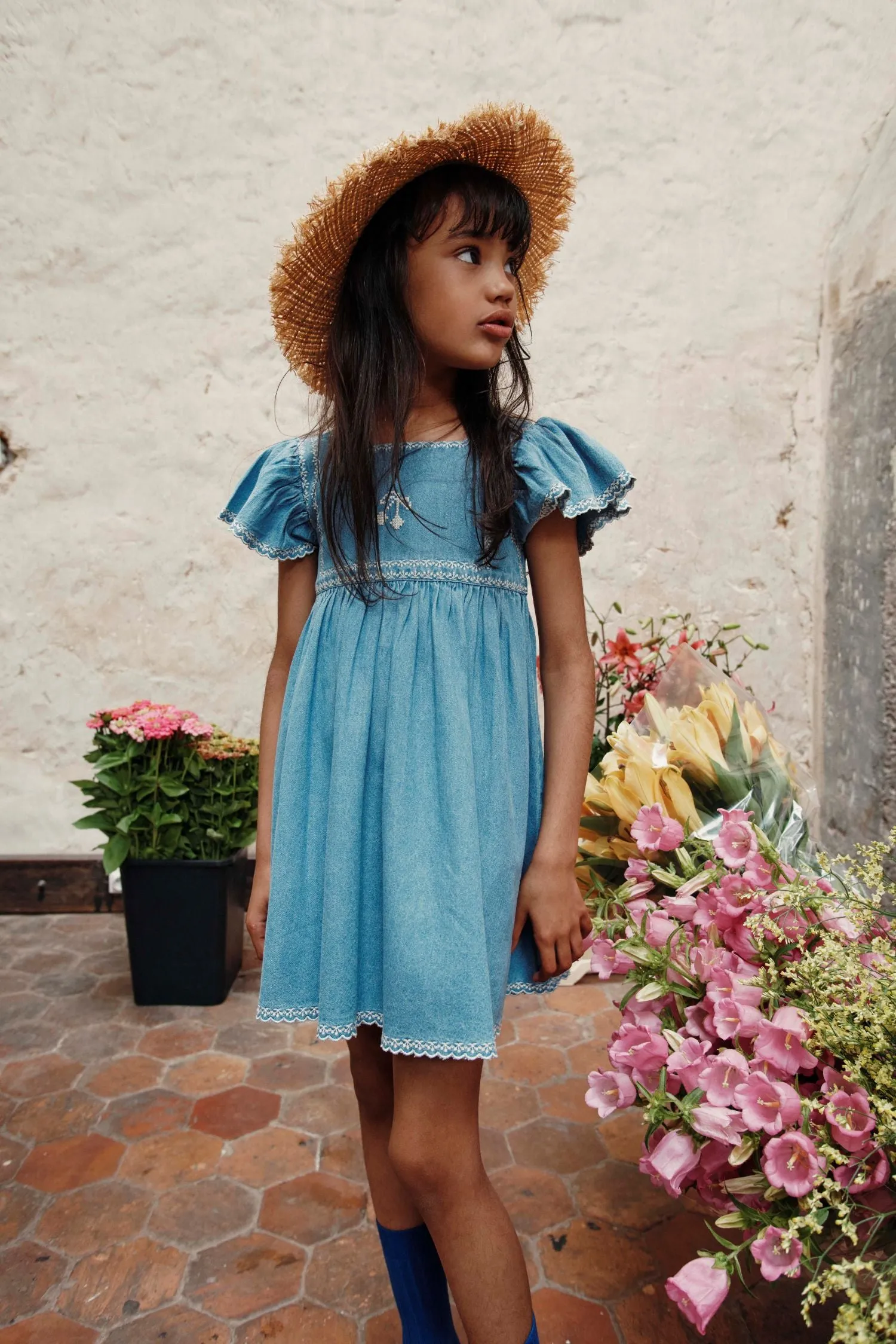 Embroidered Dress in Denim