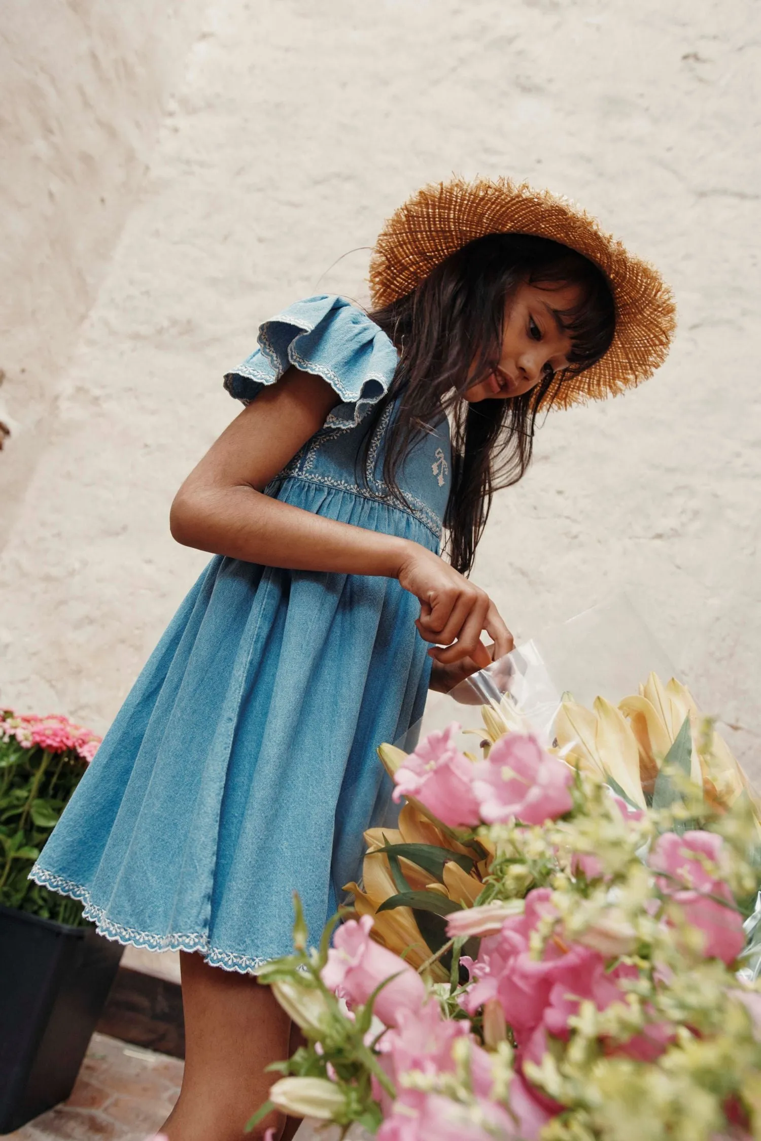 Embroidered Dress in Denim