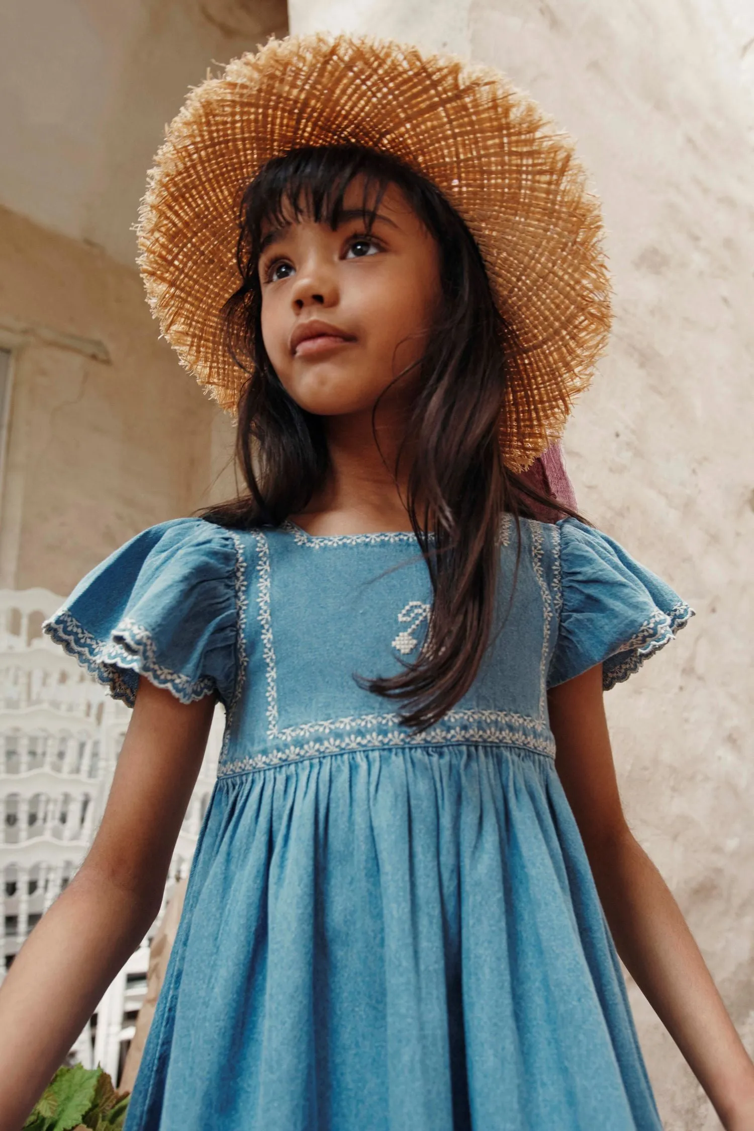 Embroidered Dress in Denim