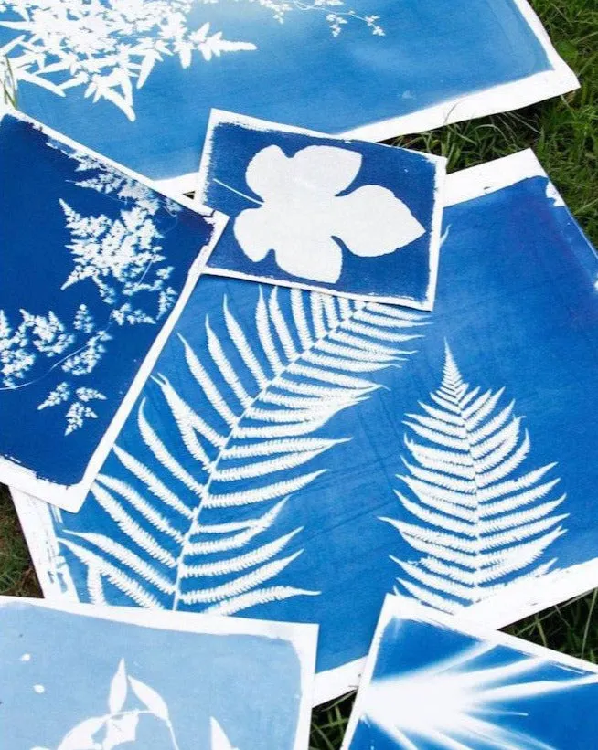 Sunprint Kit