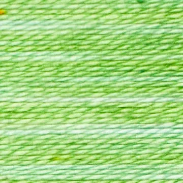 Trailhead Acorn Embroidery Threads